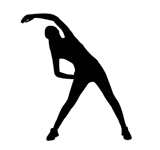 Aerobica